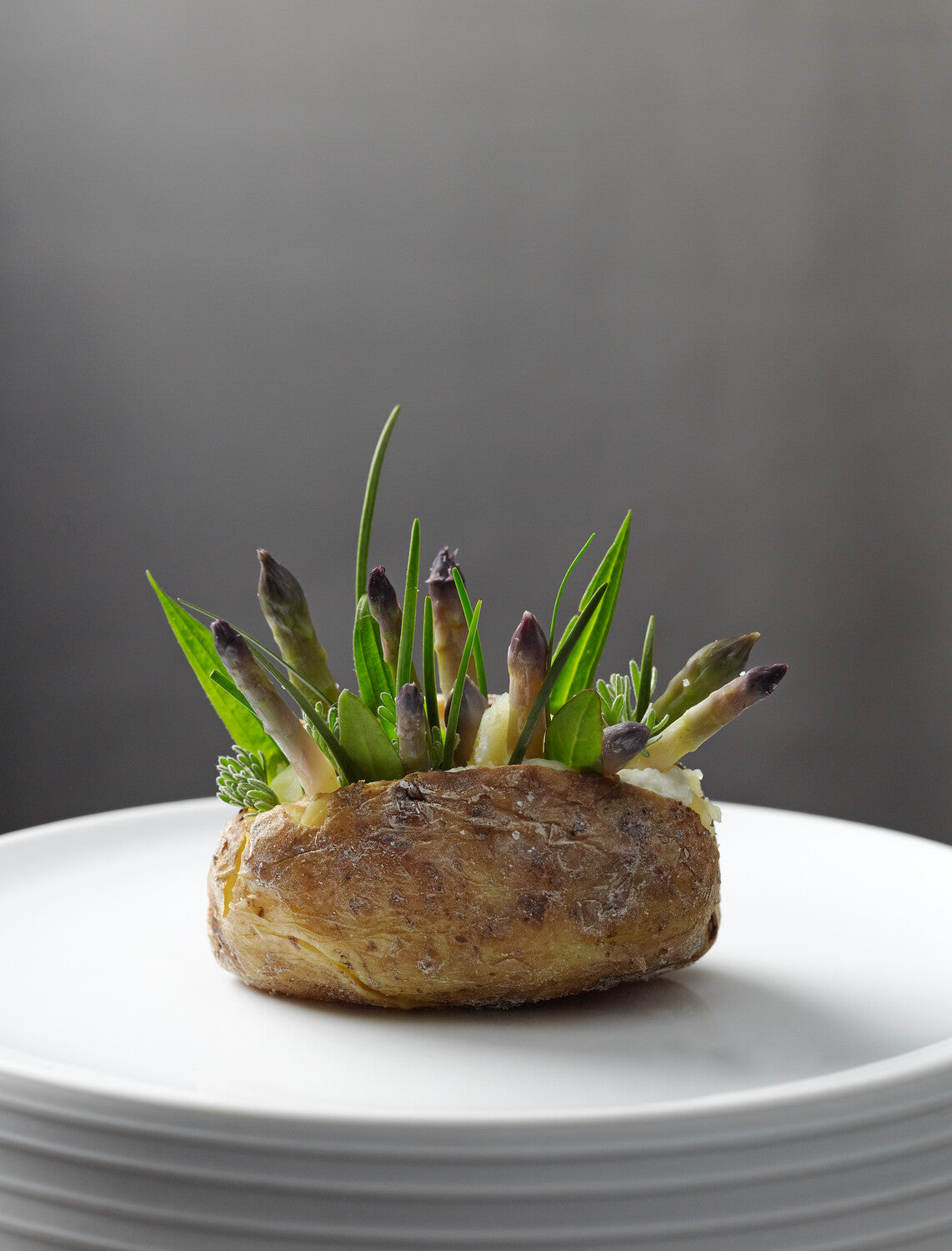 Eine Ofenkartoffel mit sprießenden grünen und violetten Spargelsprossen auf einem weißen Teller.