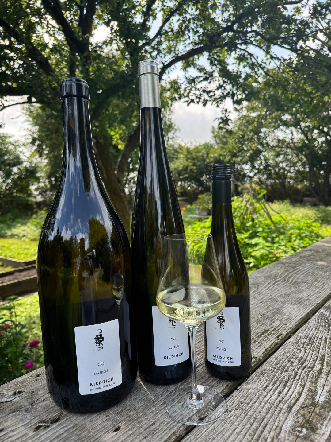 Vier Flaschen Eva Fricke - Kiedricher Riesling trocken aus der Sylter Manufaktur Johannes King in verschiedenen Größen und ein gefülltes Weinglas stehen auf einem Holztisch im Freien, im Hintergrund Grünzeug und Bäume, ergänzt durch feine Apfelaromen.