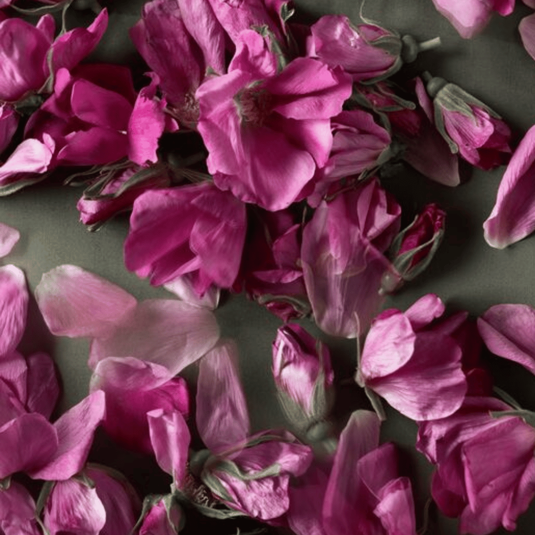 Eine Mischung aus rosafarbenen Blütenblättern und Blüten, die auf einer grauen Oberfläche verstreut sind und an die Nuancen des Kings Sylter Rosensecco *alkoholfrei* der Sylter Manufaktur Johannes King erinnern.