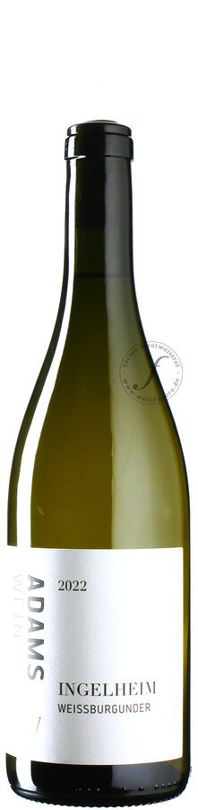 Eine Flasche Adams Wein Weißburgunder Ingelheim 2022 Weißwein, aufrecht stehend vor einem weißen Hintergrund.