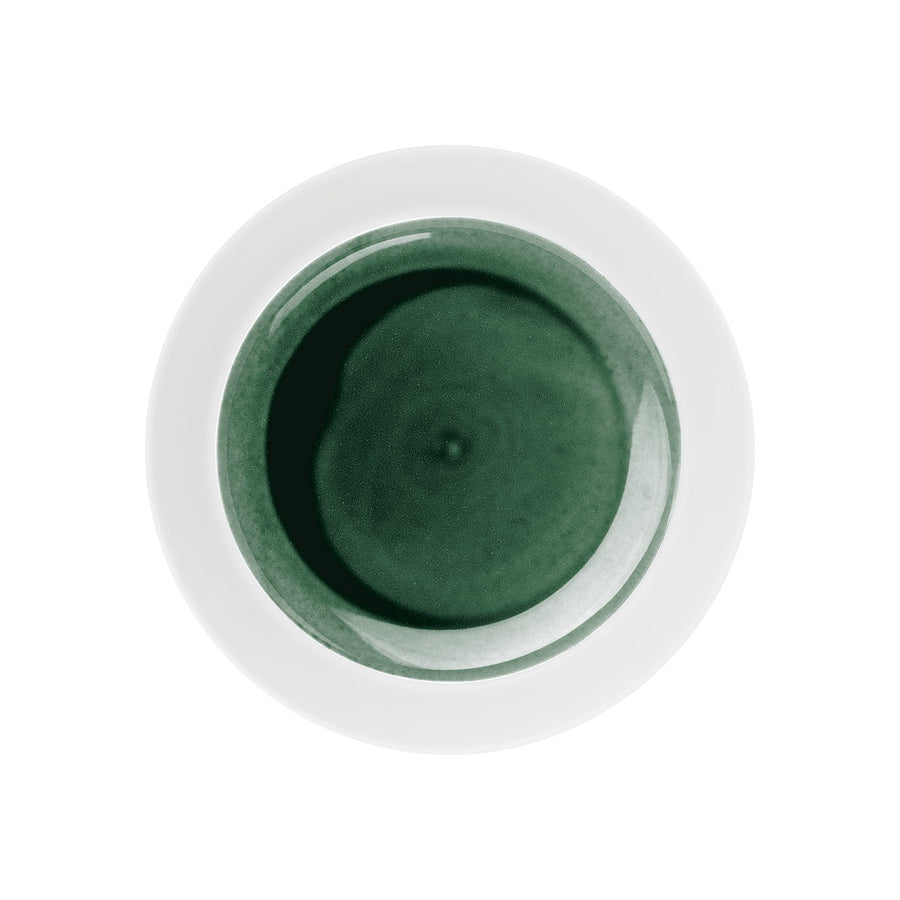 Eine Draufsicht auf eine weiße Schale mit einer grünen Flüssigkeit oder Substanz, zentriert auf einem weißen Hintergrund von Hering Berlin flacher Teller, hoher Rand Emerald.
