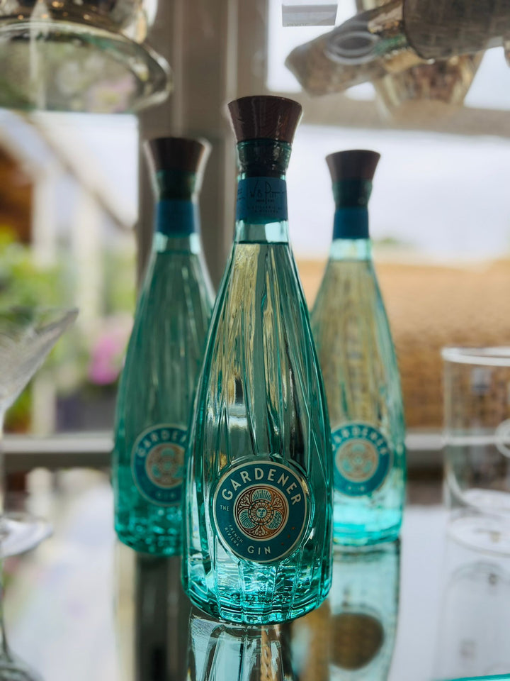 Drei aquablaue Flaschen Französischer Bio-Gin auf einem Glasregal mit verschwommenem Hintergrund.
