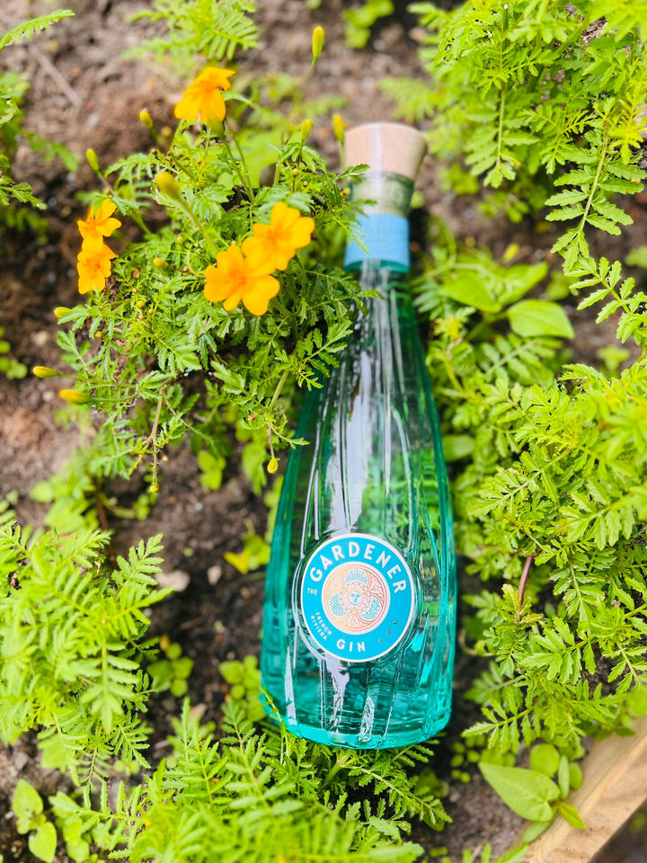 Eine blaue Flasche The Gardener – Französischer Bio-Gin, eingebettet zwischen leuchtend grünem Laub und kleinen gelben Blüten.